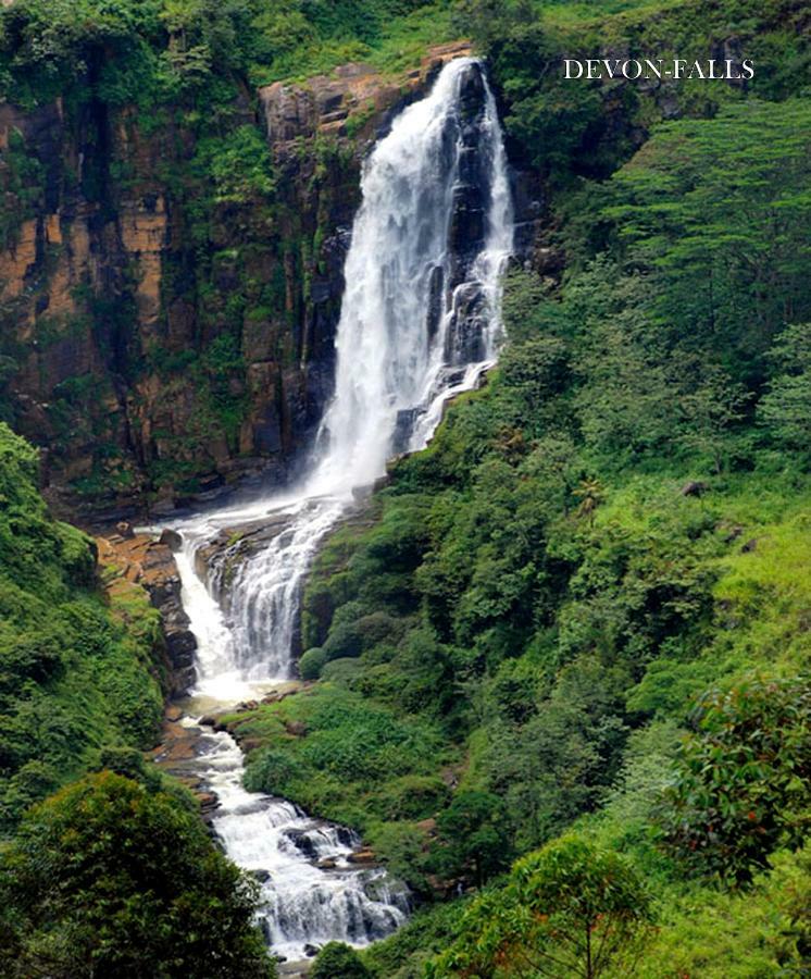 Hotel Gregory Hills Nuwara Eliya Exteriér fotografie